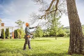 Lawn Pest Prevention in Lagrange, IN