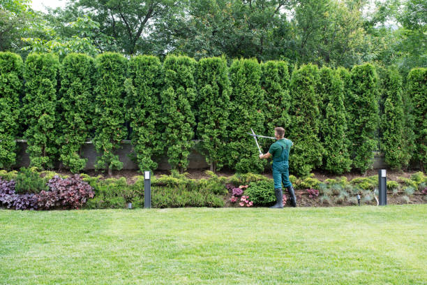 Best Artificial Turf Installation  in Lagrange, IN